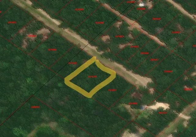 Photo 4 of Land for sale at Tbd Foyt Dr, Livingston, TX 77351 | MLS# 62178338 | Listing updated on 2026-06-29
