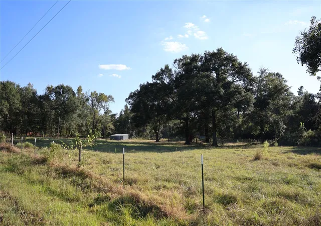 Homes for sale in Midway, TX | 000 Fm 247, Midway, TX 75852 | MLS# 83542516