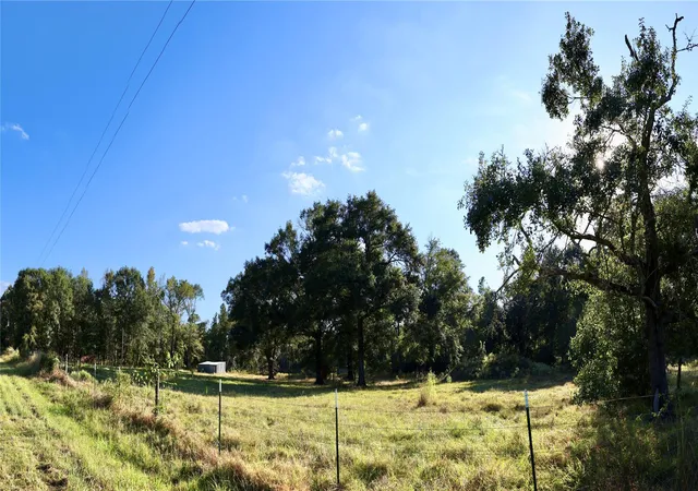 Homes for sale in Midway, TX | 000 Fm 247, Midway, TX 75852 | MLS# 83542516