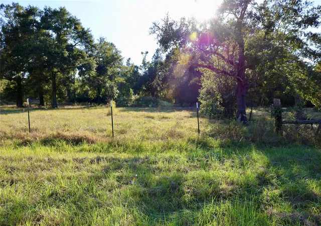 Homes for sale in Midway, TX | 000 Fm 247, Midway, TX 75852 | MLS# 83542516