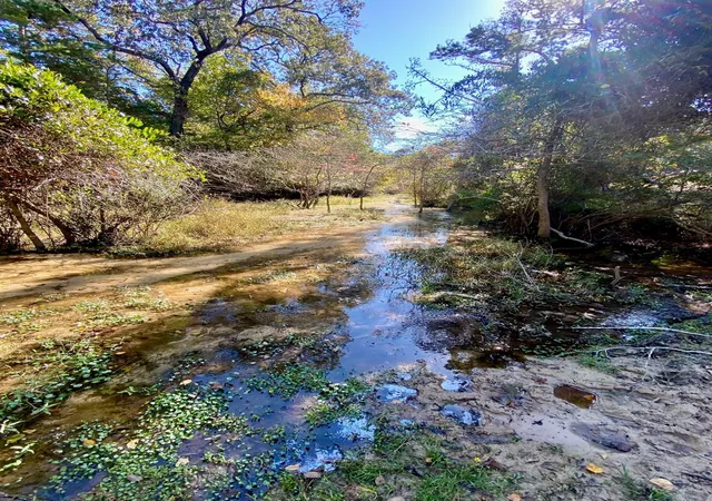 Photo 1 of Land for sale at 485 Private Rd 6142, Grapeland, TX 75844 | MLS# 14475601 | Listing updated on 2026-08-05