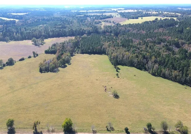 Photo 2 of Land for sale at 485 Private Rd 6142, Grapeland, TX 75844 | MLS# 14475601 | Listing updated on 2026-08-05