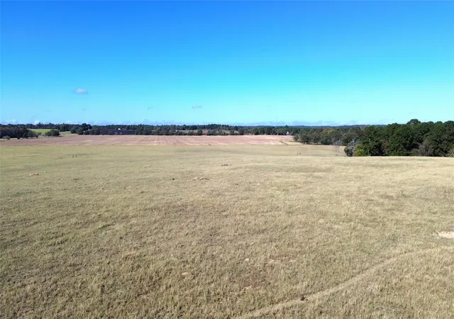 Photo 3 of Land for sale at 485 Private Rd 6142, Grapeland, TX 75844 | MLS# 14475601 | Listing updated on 2026-08-05