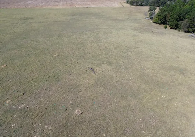 Photo 3 of Land for sale at 485 Private Rd 6142, Grapeland, TX 75844 | MLS# 14475601 | Listing updated on 2026-08-05