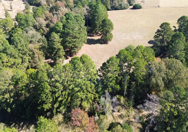 Photo 4 of Land for sale at 485 Private Rd 6142, Grapeland, TX 75844 | MLS# 14475601 | Listing updated on 2026-08-05