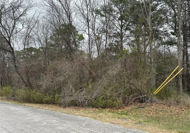 Photo 1 of Land for sale at 2 Clearwater Cir, Coldspring, TX 77331 | MLS# 33029248 | Listing updated on 2026-06-26
