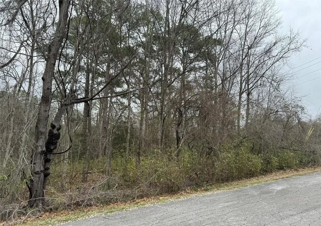 Photo 2 of Land for sale at 2 Clearwater Cir, Coldspring, TX 77331 | MLS# 33029248 | Listing updated on 2026-06-26