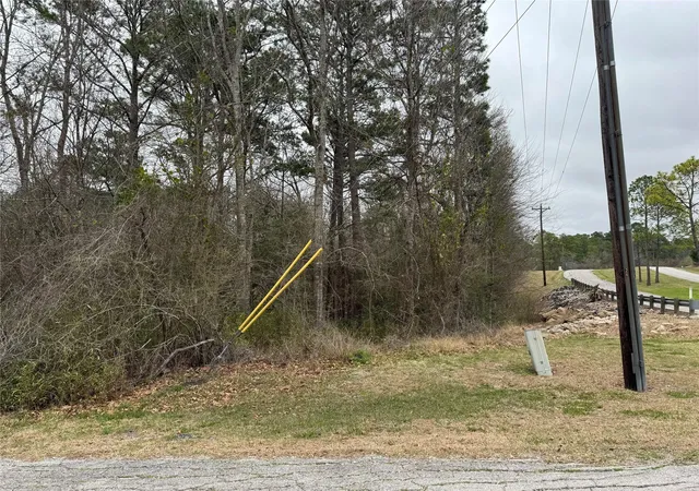 Photo 3 of Land for sale at 2 Clearwater Cir, Coldspring, TX 77331 | MLS# 33029248 | Listing updated on 2026-06-26