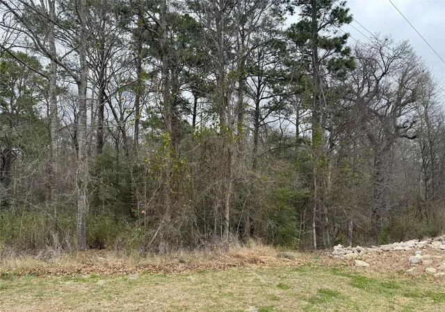 Photo 3 of Land for sale at 2 Clearwater Cir, Coldspring, TX 77331 | MLS# 33029248 | Listing updated on 2026-06-26