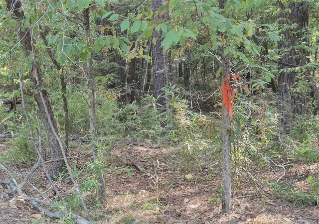 Photo 2 of Land for sale at Tbd-59 Shadowood Ln, Coldspring, TX 77331 | MLS# 97201326 | Listing updated on 2026-08-28