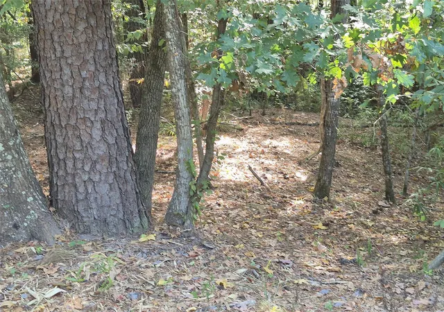 Photo 3 of Land for sale at Tbd-59 Shadowood Ln, Coldspring, TX 77331 | MLS# 97201326 | Listing updated on 2026-08-28