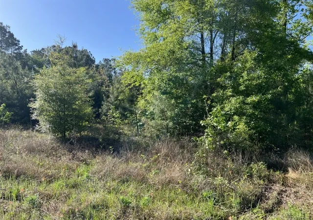 2nd image of 24656 Hwy 105, Cleveland, TX 77328 | MLS# 27930911