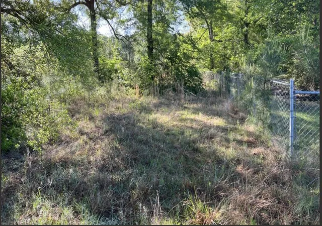 4th image of 24656 Hwy 105, Cleveland, TX 77328 | MLS# 27930911