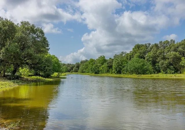Homes for sale in Weimar, TX | 1561 County Road 154, Weimar, TX 78962 | MLS# 23420208
