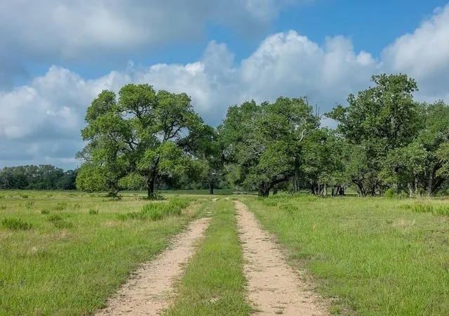 Homes for sale in Weimar, TX | 1561 County Road 154, Weimar, TX 78962 | MLS# 23420208