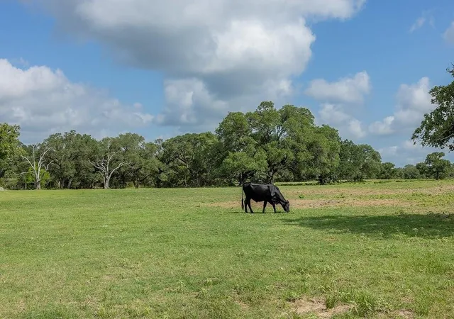 Homes for sale in Weimar, TX | 1561 County Road 154, Weimar, TX 78962 | MLS# 23420208