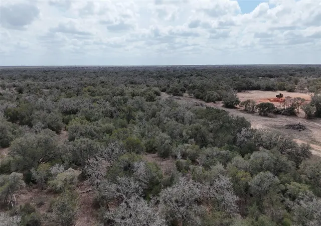 49th image of 2468 Acres Cattle Guard Rd, Yoakum, TX 77995 | MLS# 4264610