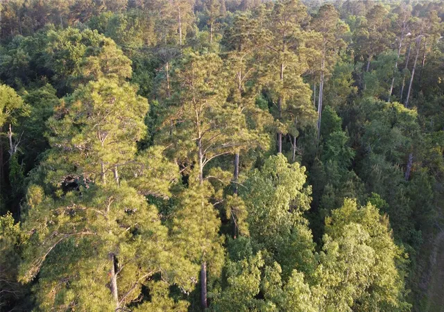 Homes for sale in Riverside, TX | Tract B Lake Rd, Riverside, TX 77320 | MLS# 73961057