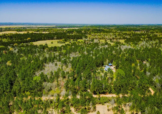 49th image of 646 County Road 2100 N, Crockett, TX 75835 | MLS# 88770637