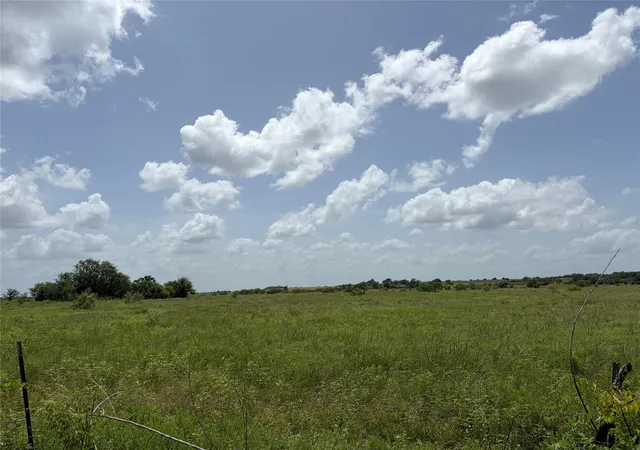 Photo 2 of Land for sale at 00 Witte, Bellville, TX 77418 | MLS# 43531472 | Listing updated on 2026-07-20