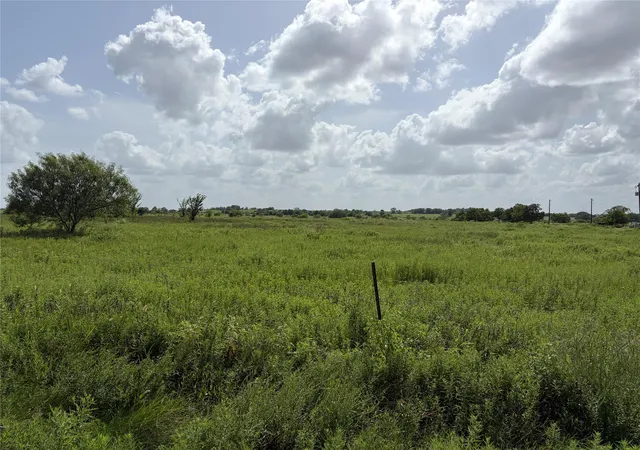 Photo 3 of Land for sale at 00 Witte, Bellville, TX 77418 | MLS# 43531472 | Listing updated on 2026-07-20