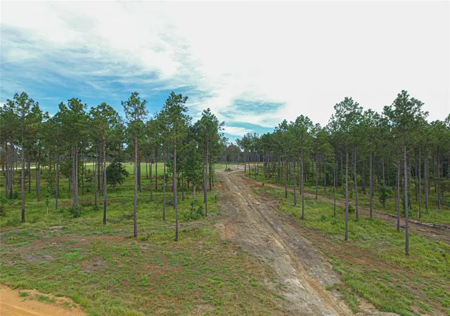 5th image of 0012 Nelson Dr, Livingston, TX 77351 | MLS# 31051136