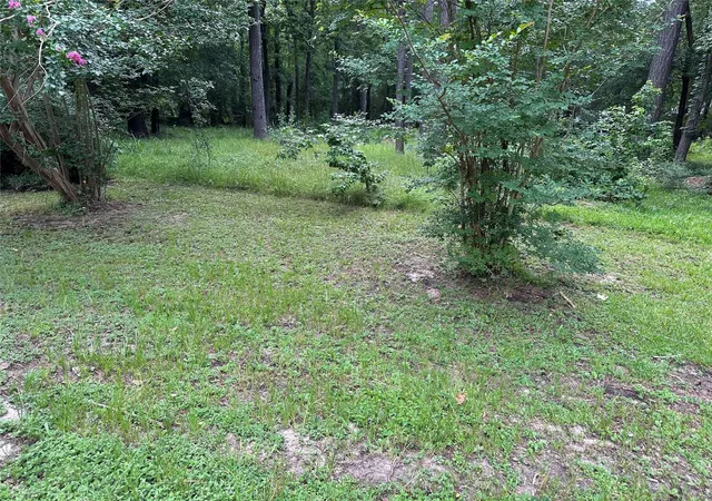 Photo 3 of Land for sale at 3779 Spring Dr, Huntsville, TX 77340 | MLS# 73467582 | Listing updated on 2026-09-11