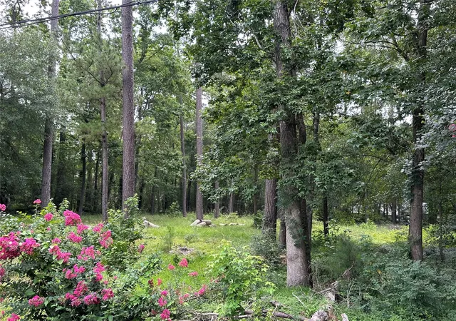 Photo 4 of Land for sale at 3779 Spring Dr, Huntsville, TX 77340 | MLS# 73467582 | Listing updated on 2026-09-11
