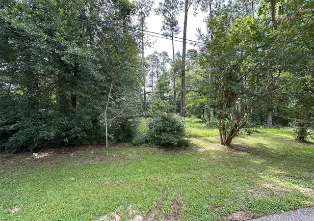 Photo 8 of Land for sale at 3779 Spring Dr, Huntsville, TX 77340 | MLS# 73467582 | Listing updated on 2026-09-11