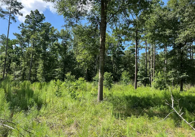 Photo 1 of Sale Pending at 641 Rolling Pines Dr, Livingston, TX 77351 | MLS# 48302041 | Listing updated on 2026-10-05