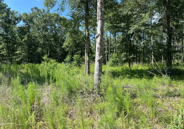 Photo 2 of Sale Pending at 641 Rolling Pines Dr, Livingston, TX 77351 | MLS# 48302041 | Listing updated on 2026-10-05