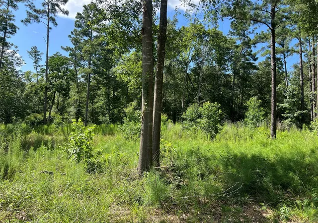 Photo 3 of Sale Pending at 641 Rolling Pines Dr, Livingston, TX 77351 | MLS# 48302041 | Listing updated on 2026-10-05