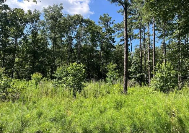 Photo 3 of Sale Pending at 641 Rolling Pines Dr, Livingston, TX 77351 | MLS# 48302041 | Listing updated on 2026-10-05