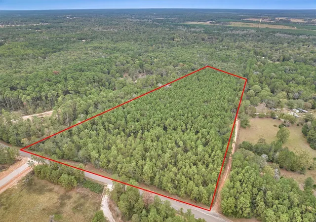 Photo 3 of Sale Pending at 0000 E Williams Rd, Conroe, TX 77303 | MLS# 6271513 | Listing updated on 2026-09-09