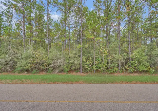 Photo 4 of Sale Pending at 0000 E Williams Rd, Conroe, TX 77303 | MLS# 6271513 | Listing updated on 2026-09-09