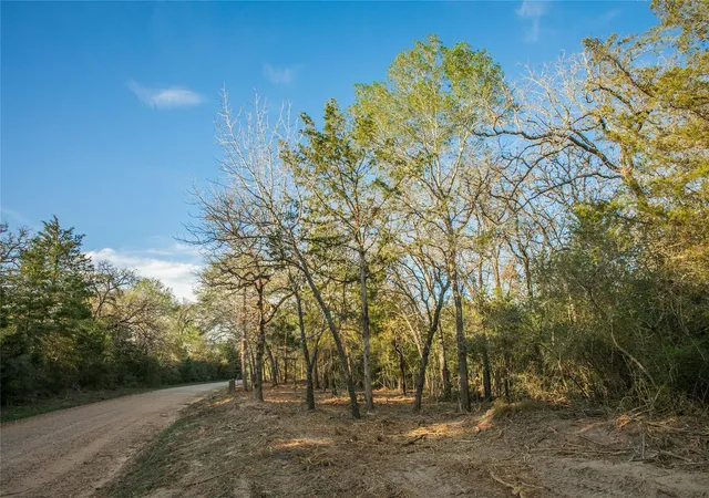 1st image of Tbd Schoenau Rd, Brenham, TX 77833 | MLS# 28873184