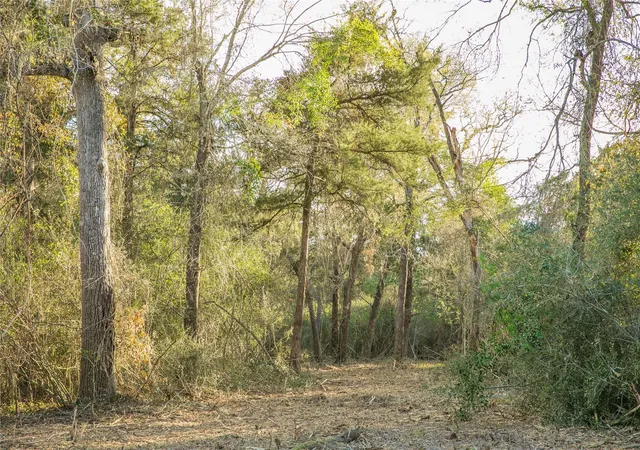 3rd image of Tbd Schoenau Rd, Brenham, TX 77833 | MLS# 28873184