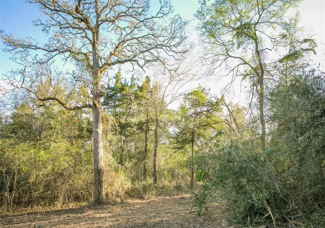 4th image of Tbd Schoenau Rd, Brenham, TX 77833 | MLS# 28873184