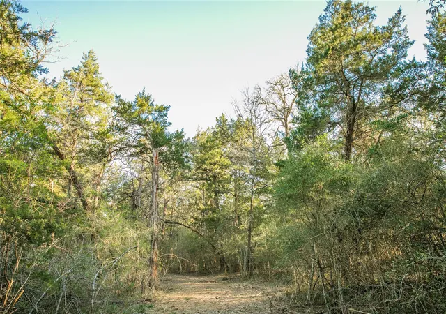 5th image of Tbd Schoenau Rd, Brenham, TX 77833 | MLS# 28873184