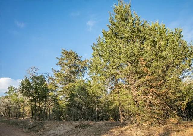 7th image of Tbd Schoenau Rd, Brenham, TX 77833 | MLS# 28873184