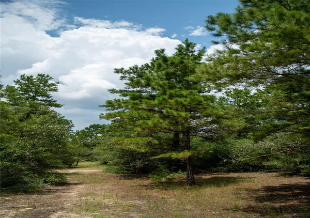 3rd image of 1655 Cr 1315, Centerville, TX 75833 | MLS# 46151078