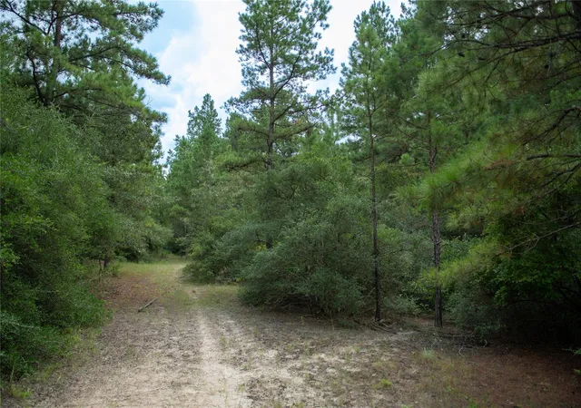 5th image of 1655 Cr 1315, Centerville, TX 75833 | MLS# 46151078