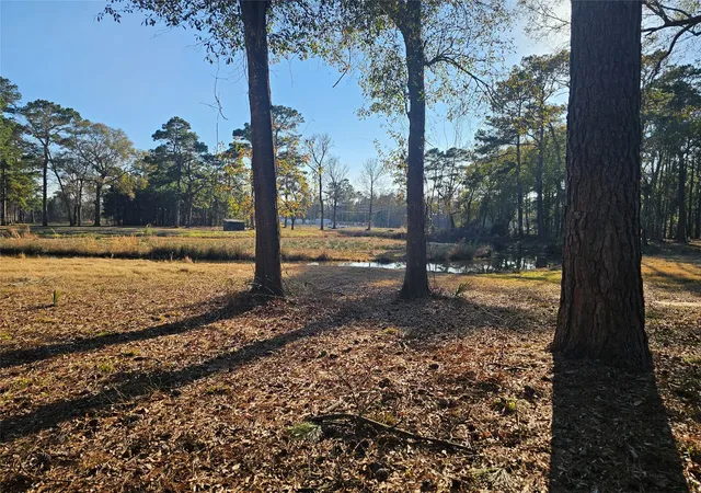 1st image of 1325 Fm 223 Rd, Shepherd, TX 77371 | MLS# 28397159