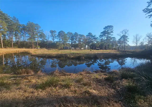 23rd image of 1325 Fm 223 Rd, Shepherd, TX 77371 | MLS# 28397159