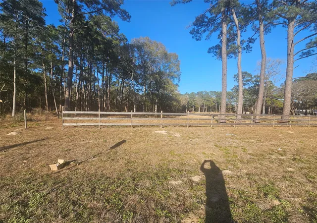 Photo 3 of Land for sale at 1325 Fm 223 Rd, Shepherd, TX 77371 | MLS# 28397159 | Listing updated on 2026-06-22