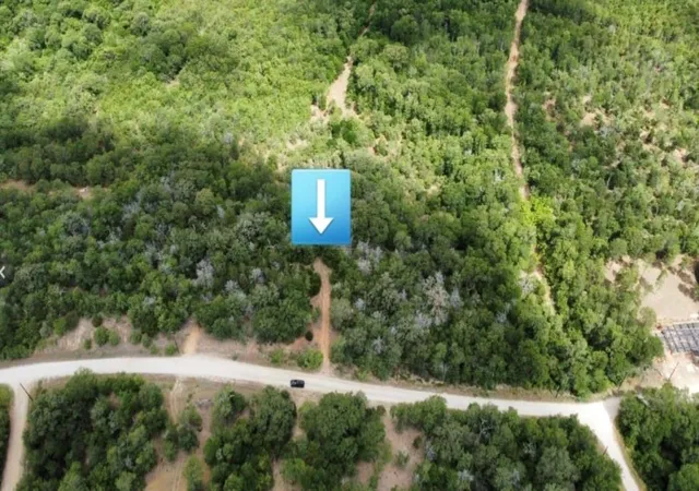 Photo 3 of Land for sale at 0 Kalihi Ct, Bastrop, TX 77433 | MLS# 64707634 | Listing updated on 2026-08-19