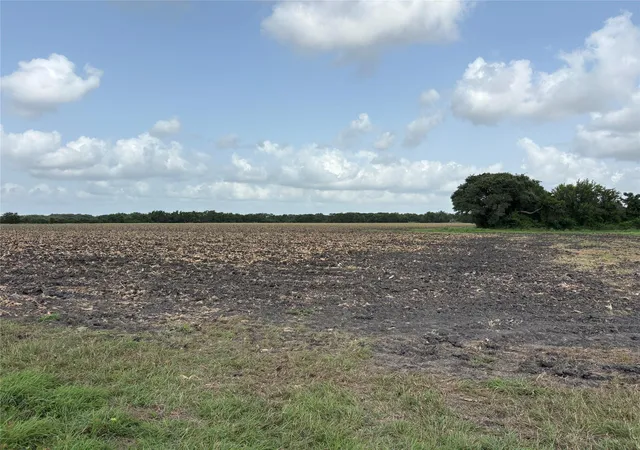 Photo 2 of Land for sale at 00 County Rd 226, Ganado, TX 77962 | MLS# 24200572 | Listing updated on 2026-08-08