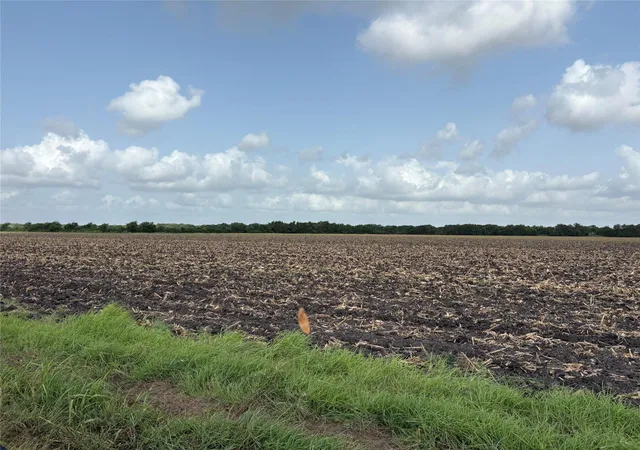 Photo 3 of Land for sale at 00 County Rd 226, Ganado, TX 77962 | MLS# 24200572 | Listing updated on 2026-08-08