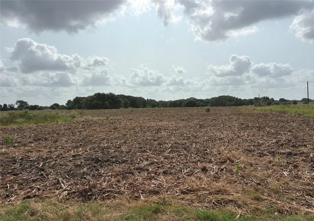 Photo 4 of Land for sale at 00 County Rd 226, Ganado, TX 77962 | MLS# 24200572 | Listing updated on 2026-08-08