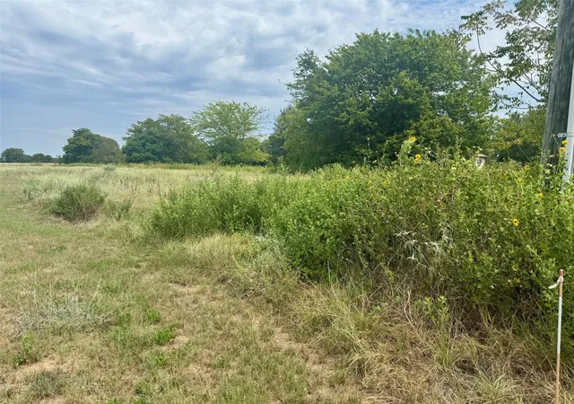 Photo 4 of Land for sale at Tbd Fm 227 E, Grapeland, TX 75844 | MLS# 96001962 | Listing updated on 2026-08-25